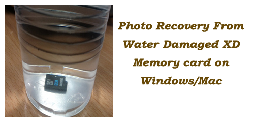Photo recovery from water damaged XD Memory card on Windows/Mac