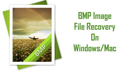 BMP File Recovery: Recover Deleted/Corrupted BMP Photos