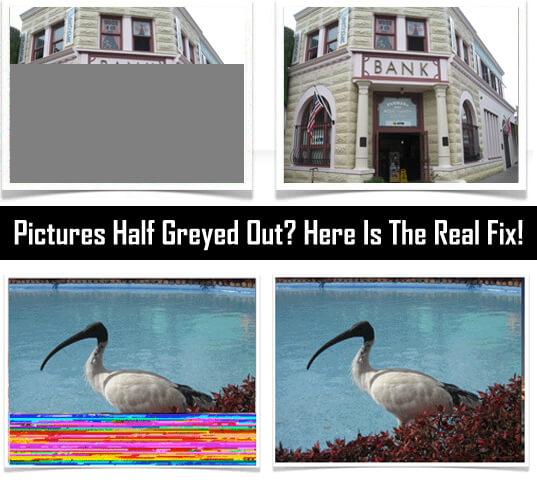 Pictures Half or Full Greyed Out? Here Is The Real Fix!