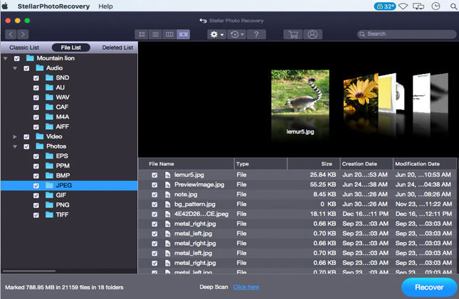 Stellar Photo Recovery Screenshot 4