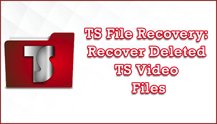 TS File Recovery