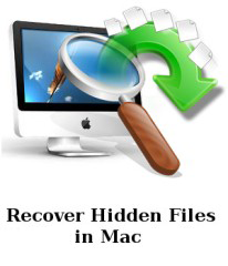 how to recover hidden files