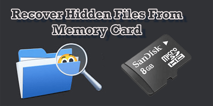 4 Working Ways To Recover Hidden Files From Memory Card