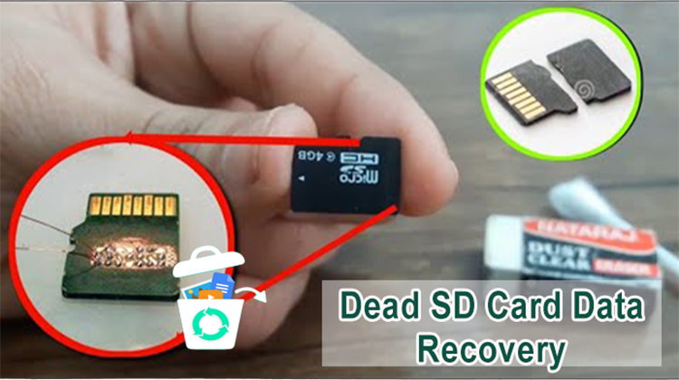 Dead SD Card Data Recovery