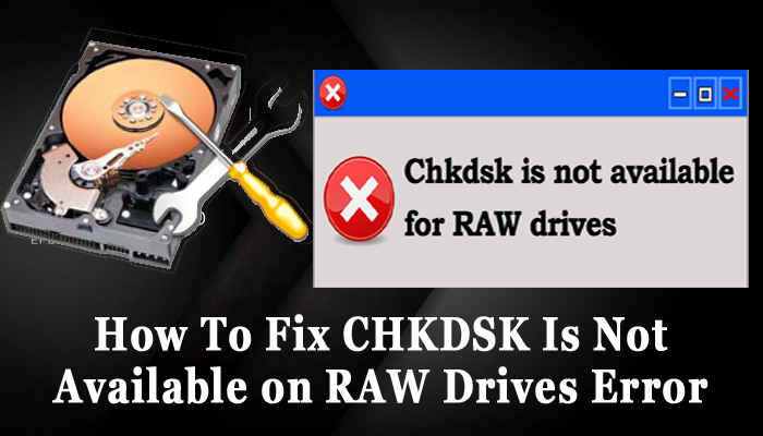 Fix CHKDSK Is Not Available on RAW Drives Error