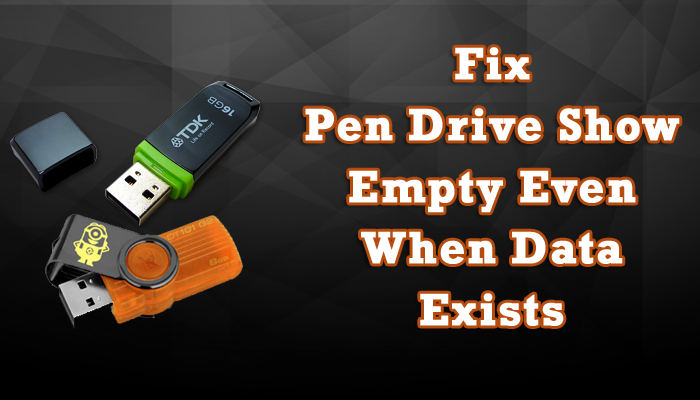 4 Perfect Solutions To Fix Pen Drive Show Empty Even When Data Exists