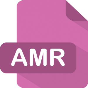 amr-icon