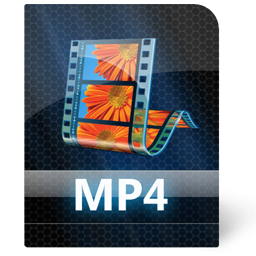 MP4 file