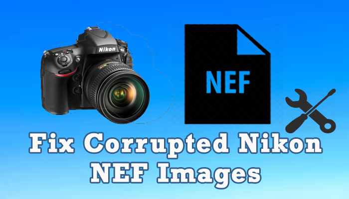 NEF File Repair- 6 Ways To Fix Corrupted Nikon NEf Images