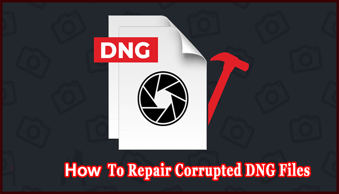 Repair Corrupted DNG Files