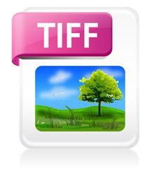 tiff
