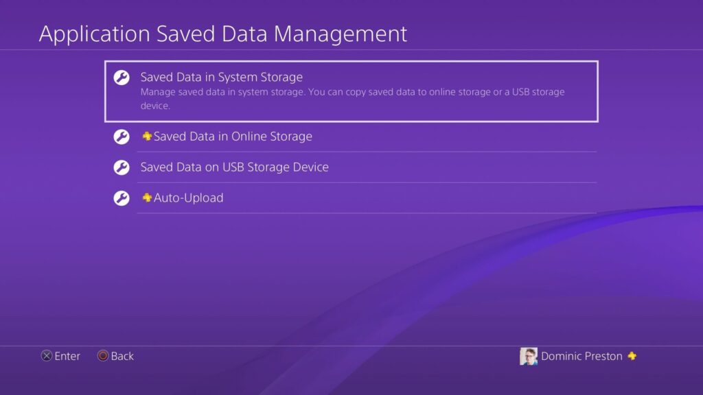 Saved Data in System Storage