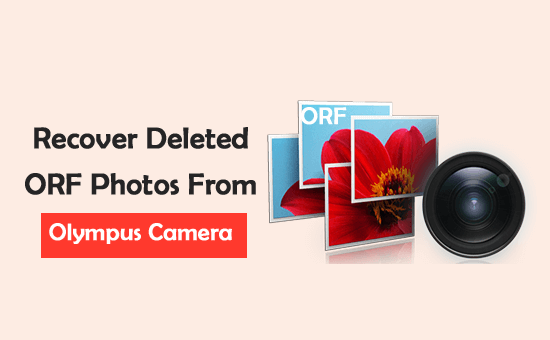 Recover ORF photos from Olympus Camera