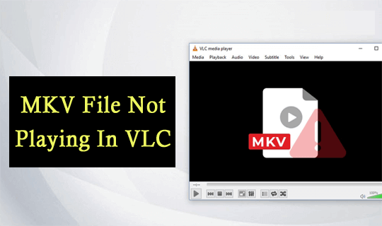 audio not playing in windows media player mkv file