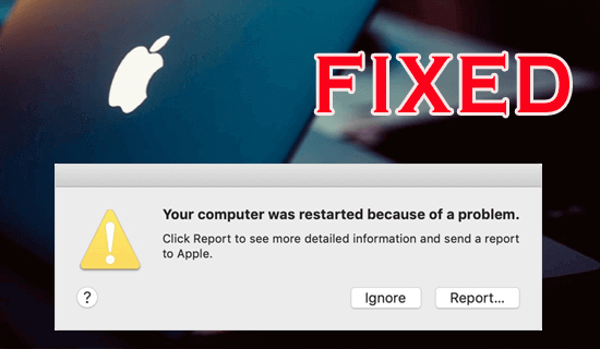 your computer restarted because of a problem mac