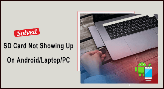 SD Card Not Showing Up On AndroidLaptopPC