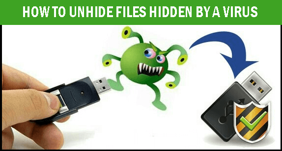 how to unhide files hidden by a virus